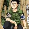 Shikamaru Nara